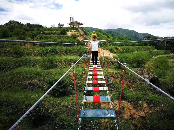 案例應用